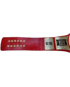 Ceinture de championnat Surtechs AEW TNT en acier inoxydable, réplique manuelle taille adulte, titre de lutte avec plaques de 2 mm - Product Image 3