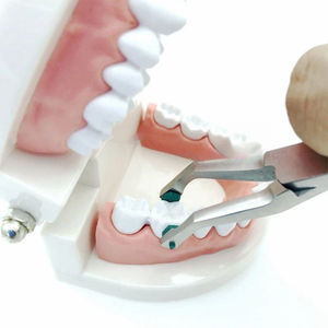 Dental Crown Plier Dentist Tools Temporary Teeth Removal Pliers with Green Rubber Stainless Steel CE Approved By Grip Surgical - Product Image 3