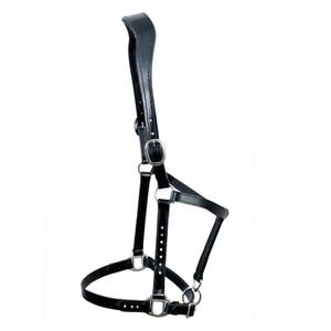 Halter de cuero de caballo Halter de cuero de color negro Halter de cuero de punto blanco Halter de caballo liso - Product Image 2