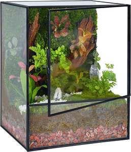 Nouveau design : Terrarium en verre cristallin, récipient artistique transparent pour plantes succulentes, plantes aériennes et décoration élégante - Product Image 6