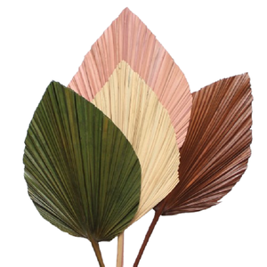 Palm Spear Cut Leaves Eco-Friendly Dry Natural Material for Thanksgiving Wedding Easter Christmas Decoration - Product Image 6