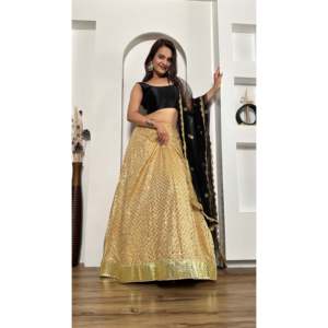 Magnifique Lehenga Choli avec bordure en feuille pour les occasions spéciales - Product Image 1