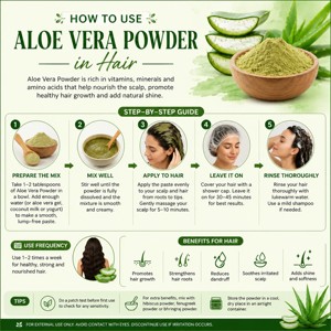 Approvisionnement en gros de poudre d'aloe vera déshydratée 100% pure, poudre d'aloe vera de qualité cosmétique supérieure pour les soins de la peau et des cheveux - Product Image 2