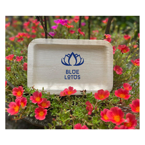 Assiettes en feuilles de palmier 100 % compostables, best-sellers |   Vaisselle jetable zéro déchet pour les entreprises écologiques - Product Image 1