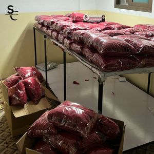 Sweats à capuche personnalisés surdimensionnés et courts, imprimés, avec fermeture éclair, en molleton 100 % coton de haute qualité, pour un usage décontracté, et service OEM - Product Image 3