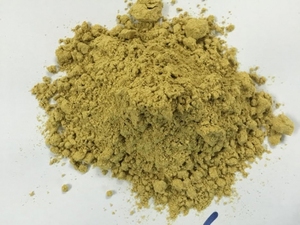 CULINARY GRADE KUMQUAT PEEL POWDER | <b>COLD</b> WATER SOLUBLE <b>INSTANT</b> KUMQUAT POWDER FOR B2B SUPPLY - Product Image 1