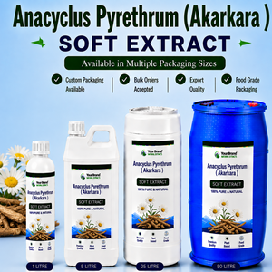 Extracto Suave de Anacyclus Pyrethrum Akarkara, Suplemento Herbal Natural de Grado Alimenticio a Base de Plantas, India, Empaque Personalizado a Granel - Product Image 1