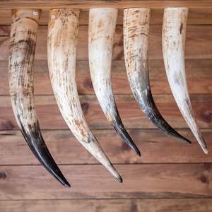 CREATE NATURAL DESIGN VIKING <b>DRINKING</b> <b>HORN</b> Stand Unique Design Accept Custom Logo High Quality Feng Shui Religious - Product Image 5