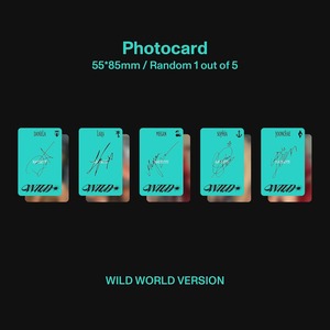 Carte photo 55 x 85 mm, aléatoire (1 sur 5), sans RFID, carte de collection, étanche, en PET PVC, pour cadeau de fan - Product Image 1