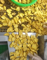Techmifood Gedroogde Jackfruit Schijfjes Zoet Bulkverpakking Vacuüm Verzegeld Export Kwaliteit Vietnam 7kg 12 Maanden