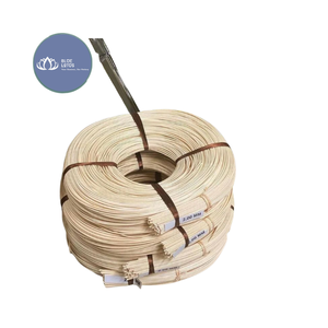 [VENTE CHAUDE] |   Diffuseur de parfum artisanal avec bâtonnets en rotin, bouteille d'huile essentielle, décoration d'intérieur, vente en gros Vietnam - Product Image 1