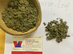 Poudre de feuilles de rami VietDelta très demandée pour les desserts traditionnels au riz collant, vert foncé, noir, durée de conservation de 12 mois - Product Image 4