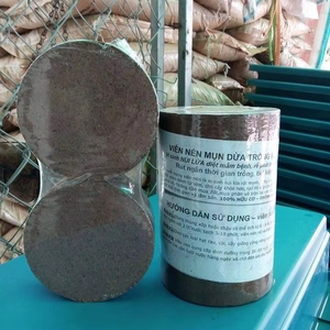 Cocopeat Naturel du Vietnam : Substrat Biologique de Fibres de Coco pour la Culture des Plantes et l'Utilisation en Serre - Product Image 1