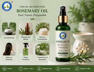 Huile essentielle de romarin certifiée ISO 1 KG, pure et naturelle, Rosmarinus Officinalis, huile végétale pour les soins de la peau et la croissance des cheveux - Origine Inde - Product Image 6