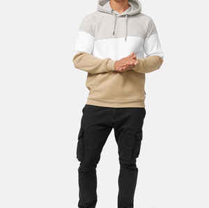 2025 Wholesale Men's Premium Quality Casual Wear Lightweight Pullover Hoodies Solid Pattern Winter Basic Plain Dyed 100% Cotton - Product Image 3