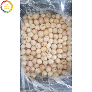 Litchis surgelés IQF de qualité supérieure, sans sucre ajouté, fruits tropicaux emballés sous vide en vrac pour la préparation de desserts, boissons et smoothies - Product Image 6