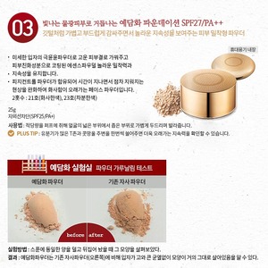 Korea Red Ginseng Arbutin 40ml <b>Foundation</b> Bichegain Yedam Hwa K-Beauty K-Beauty Product - Product Image 4