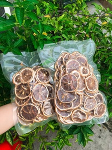 Venta caliente rodajas de limón verde secas a Lima liofilizadas para cocinar, desintoxicar y decorar en alta calidad - Product Image 3