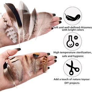 300 Pezzi di Piume Naturali per Fai da Te, 4 Stili Piccoli, Confezione Grande per Decorazioni Matrimoni, Casa e Feste - Product Image 2