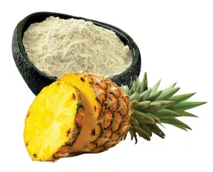 100% Pure Organic Water Soluble Dried Pineapple Powder High Grade Fresh & Dried Pineapple Fruit Juice Powder from india