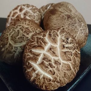 Seta Shiitake fresca proveedor vietnamita precio barato entrega rápida - Product Image 6