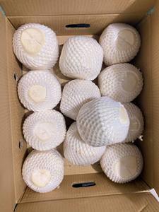 Noix de coco fraîche de qualité d'exportation du Vietnam cultivée naturellement avec une longue durée de conservation, idéale pour les jus au détail et les services alimentaires - Product Image 4