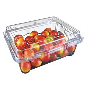 <b>Up</b> PET Thermoforming 0.2mm Thick Customized Size Blueberry Food Grade Transparent Plastic Fruit Container with Lid - Product Image 6