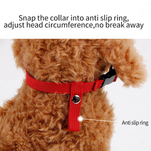 Collar de Adiestramiento para Perros Ajustable de Nailon Morado, Talla Pequeña, Cierre de Hebilla, Estilo Simple, Accesorio para Mascotas para Todas las Estaciones - Product Image 5