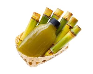 Caña de azúcar congelada para bebidas y postres | 100% Caña de azúcar natural al por mayor de Vietnam - Product Image 4