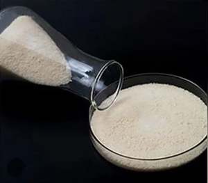 Polvo de Enzima Amilasa para el Procesamiento de Almidón Ansel Biotech India - Product Image 1