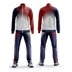 Conjuntos Deportivos Casuales para Hombre en Poliéster, Nuevos Conjuntos de Sudadera con Capucha y Pantalones con Estampado 3D y Cierre de Cremallera - Product Image 6