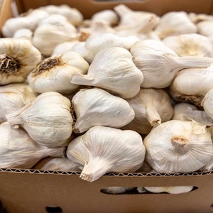 Ajo Fresco Orgánico Premium de Primera Calidad, 3.2cm, Blanco Normal, Blanco Puro, 10kg, Precio al por Mayor con Entrega Rápida, Comprar Ahora - Product Image 5