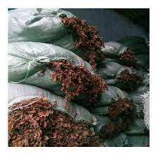 ALGAS SARGASSUM CRUDAS // DE VIETNAM // ALTA CALIDAD - Product Image 5