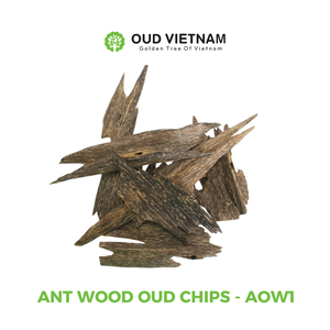 Copeaux de bois d'oud luxueux pour brûler quotidiennement à la maison et pour les occasions spéciales, encens pur du Vietnam, parfum d'agarwood, odeur douce. - Product Image 2