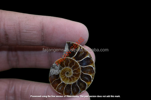 พลอยแอมโมไนต์ธรรมชาติ FAIJAN GEMS รับรองโดยผู้เชี่ยวชาญ รูปทรงหลากหลาย ขนาดปรับแต่งได้ คุณภาพสูงสำหรับทำเครื่องประดับ - Product Image 3