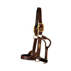 Good Quality 2026 Customized Leather Horse <b>Halter</b> Multiple Sizes Available Horse <b>Halter</b> In Low Price - Product Image 5