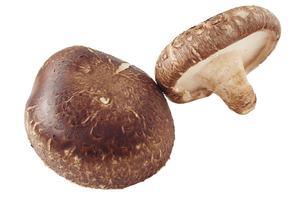Hongos Shiitake Deshidratados – Hongos Naturales Deshidratados, de Alta Calidad // Mr.Tom - Product Image 2