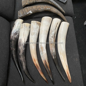 Cuernos Largos de Vaca Naturales Decorativos para Exhibición en Paredes de Casas de Campo - Product Image 3