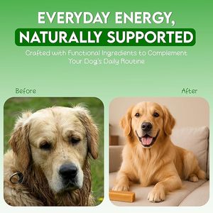 Healthy Organic Eco-Friendly Gluten-Free Himalayan Yak Milk Dog Chews High Quality Sugar-Free Vitamin Enriched Dried Support - Product Image 6