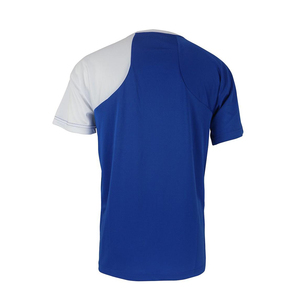 Mens <b>Raglan</b> T-Shirt Blue Gray Quick Dry Cotton Sportwear O Neck Regular Fit Custom OEM Production Activewear <b>Top</b> Casual T-Shirt - Product Image 2