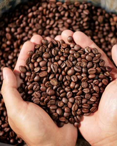 เมล็ดกาแฟคั่วพรีเมียม / บริสุทธิ์ 100% – กลิ่นหอมเข้มข้น – คุณภาพส่งออก - Product Image 3