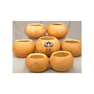 Bol en coquille de calebasse naturelle de haute qualité |   Bol artisanal robuste et durable pour bar - Product Image 1