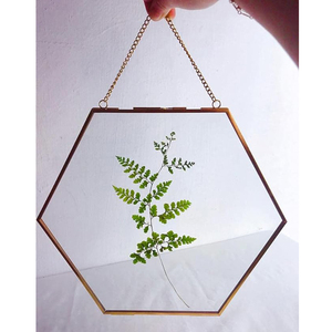 Cadre photo mural décoratif en verre transparent avec bordure en laiton en forme d'hexagone, design feuille, finition dorée, best-seller pour la maison et le bureau - Product Image 1