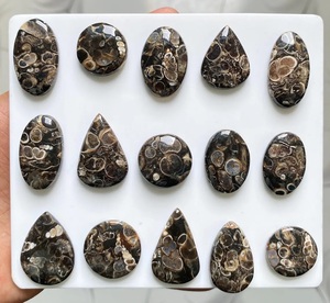Turritella, Gema Cabujón Suelta, Directo de Fábrica India, Venta al por Mayor por Kilo, Lote de Piedras - Product Image 2
