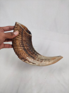 Corne de mouton naturelle, corne de shofar de bélier pour les usages religieux juifs, cornes de shofar de bélier de la meilleure qualité par CRAFTING CRAFTS en gros - Product Image 4