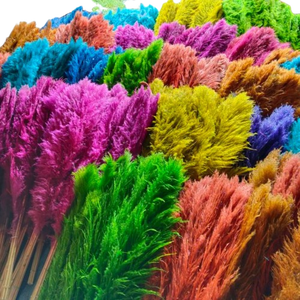 Preserved <b>Dried</b> <b>Gypsophila</b> Flower Stems Colorful Eternal Baby's Breath for Wedding Valentine's Day Home Decor - Product Image 1