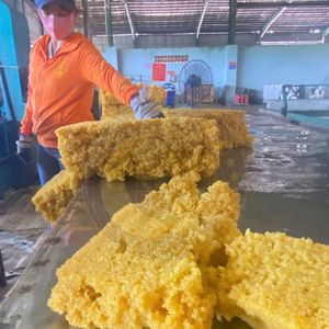 ยางพาราธรรมชาติเวียดนามเกรดส่งออก SVR3L — จัดจำหน่ายโดยตรงจากโรงงานสำหรับผู้ผลิตยางรถยนต์ ยางรัดข้อมือ และพื้นรองเท้า - Product Image 6