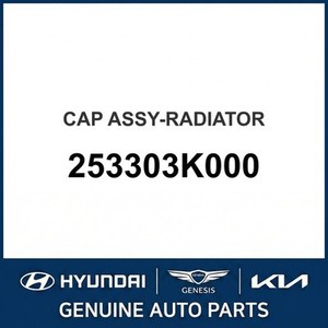 Radiadores Nuevos Accent 253303K000 - Product Image 1