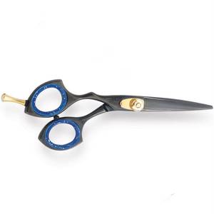 Ciseaux de coiffure professionnels, lame en acier inoxydable, pointe fine, manche long, pour droitiers, manche en plastique, accents bleus - Product Image 5