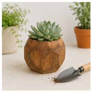 Maceta de Madera Geométrica Hecha a Mano al por Mayor para Suculentas, Mini Maceta Ecológica de Madera Maciza para Interiores, Hogar y Jardín - Product Image 3